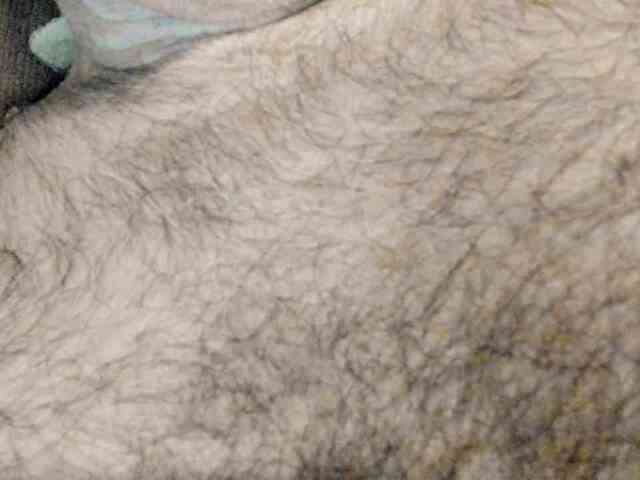 MIDWESTUNCUT free sexy photo